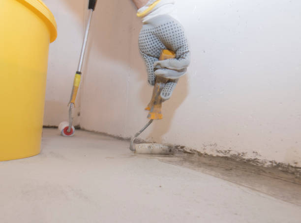 Best Fumigation Services  in Tonkawa, OK